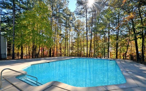 A swimming pool surrounded by trees in a sunny day.