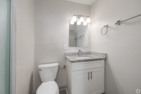 A white toilet sits next to a sink in a bathroom.