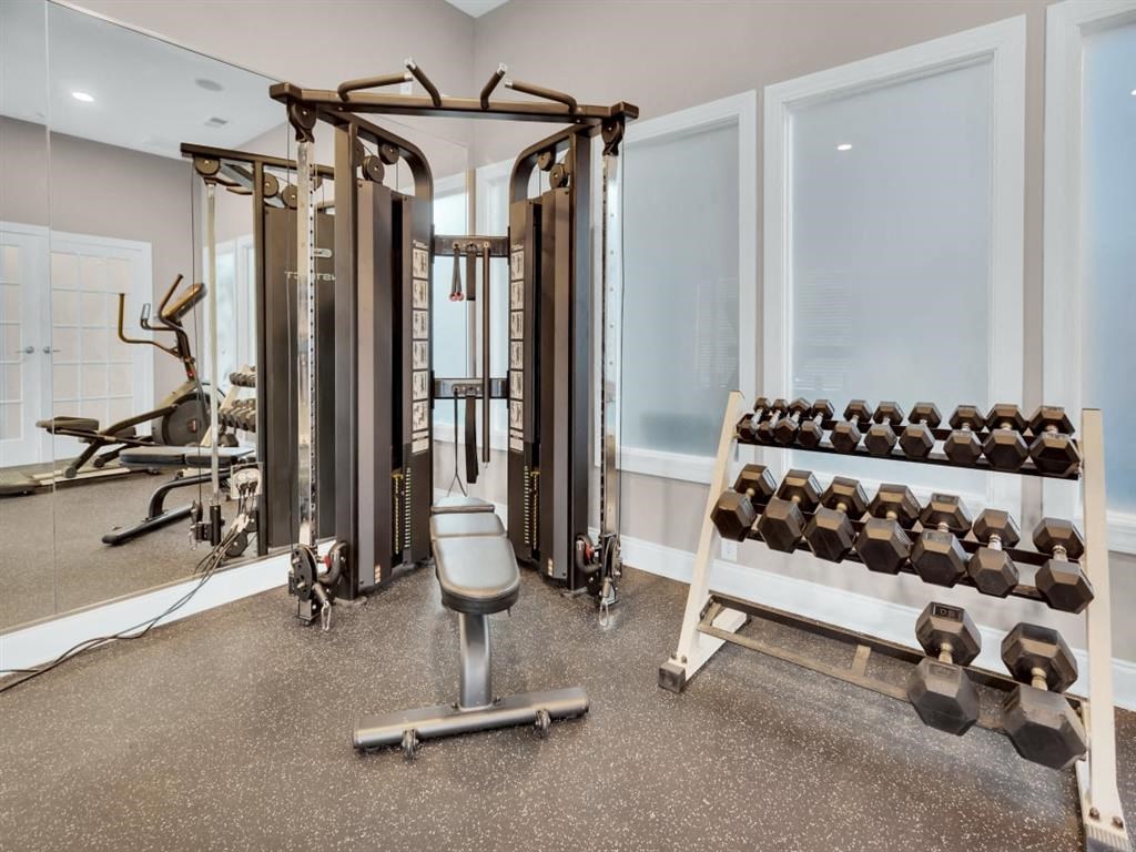 a gym with weights and a row of racks of dumbbells