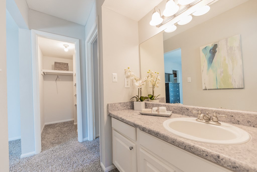 a bathroom with a sink and a mirror and a shower