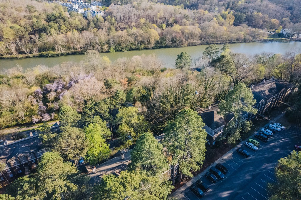 an aerial view of trees next to a river