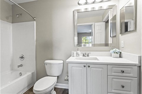 a bathroom with a sink toilet and a mirror