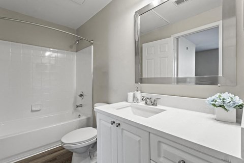a bathroom with a sink toilet and a mirror