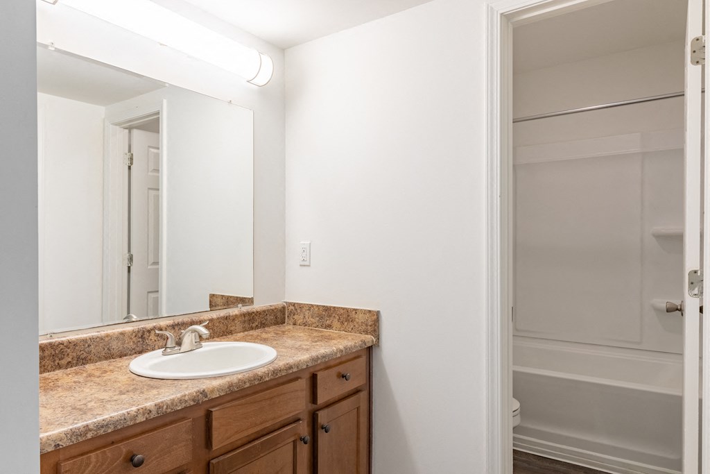 a bathroom with a sink and a mirror and a shower