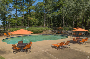 400 Ashley Place 2-3 Beds Apartment for Rent - Photo Gallery 4