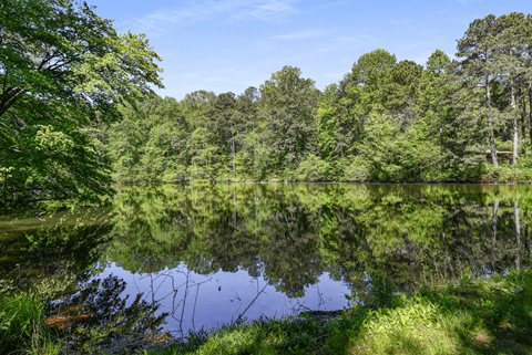 A serene lake surrounded by lush green trees under a clear blue sky.