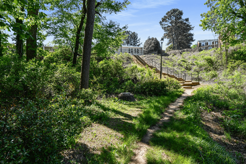A path through a green, leafy area with a fence in the background.