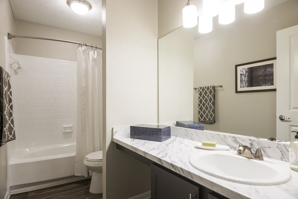 a bathroom with a sink and a shower and a toilet