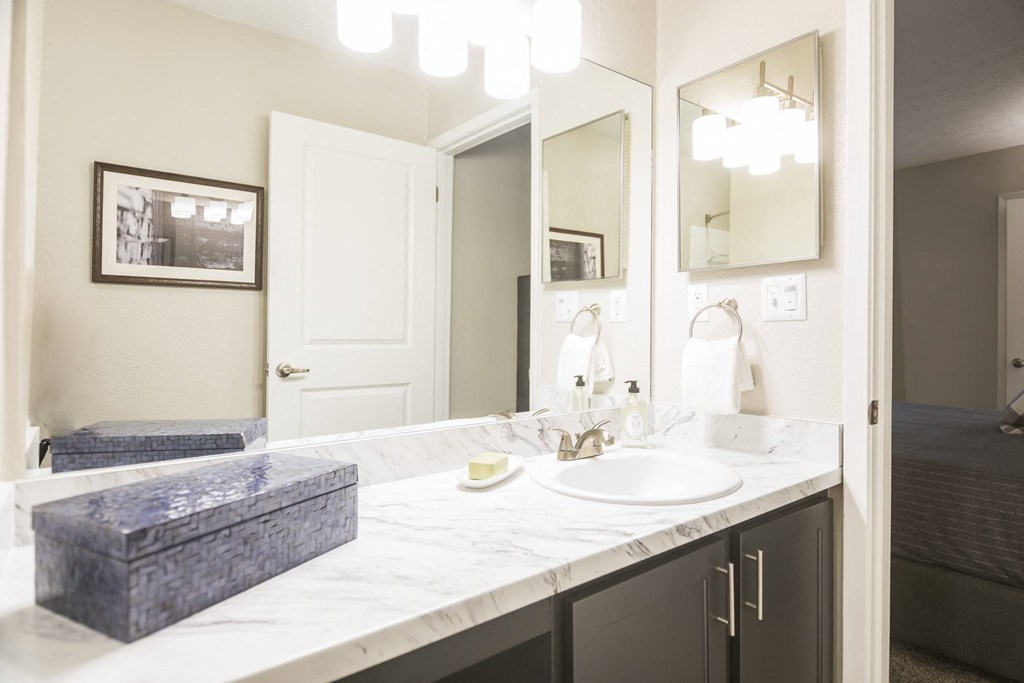 a bathroom with a sink and a mirror