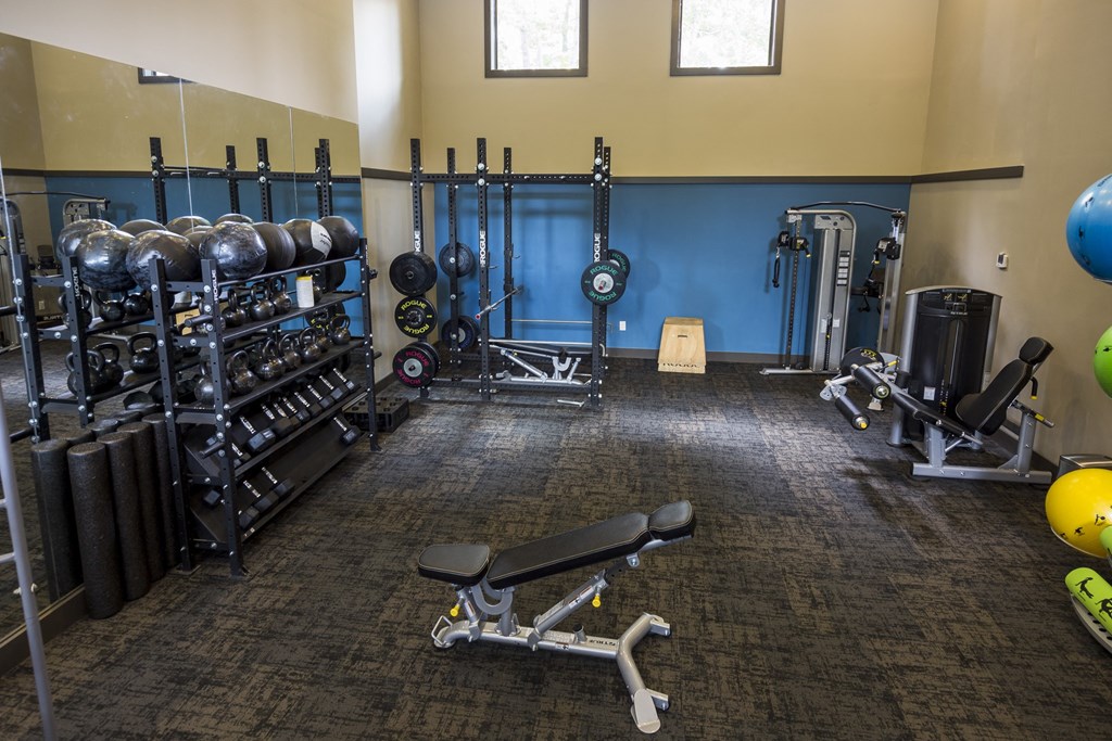 a fitness center with weights and cardio equipment in a gym