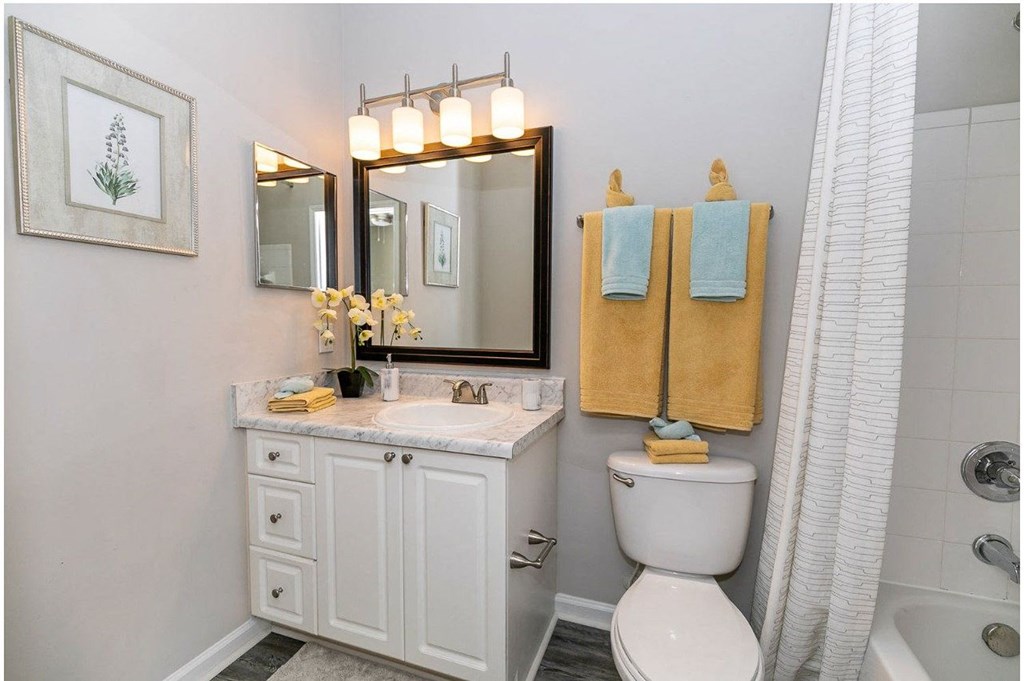 a bathroom with a toilet and a sink and a mirror