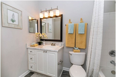 a bathroom with a toilet and a sink and a mirror