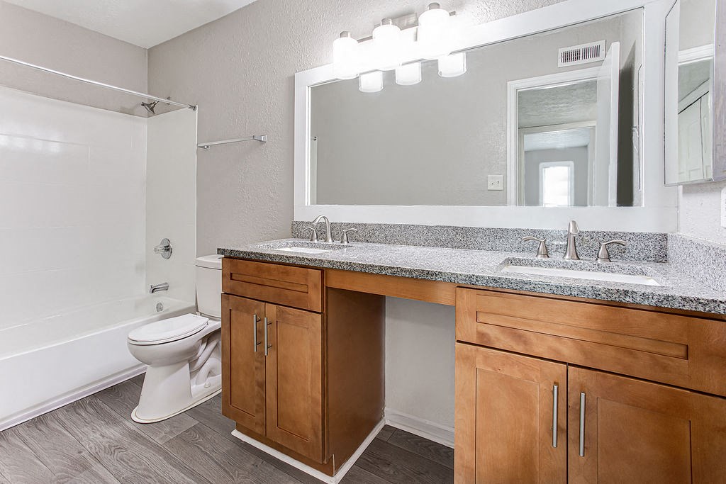 a bathroom with a sink and a toilet and a mirror