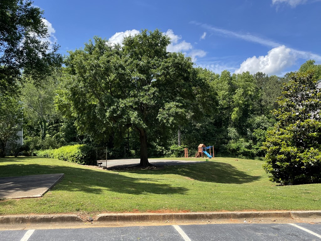 a park with a playground and trees