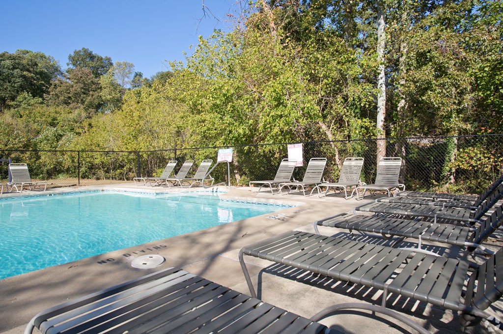 A pool with sun loungers and trees in the background.