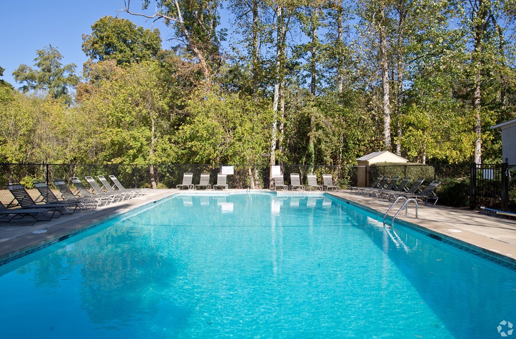 A large swimming pool surrounded by trees and lounge chairs.