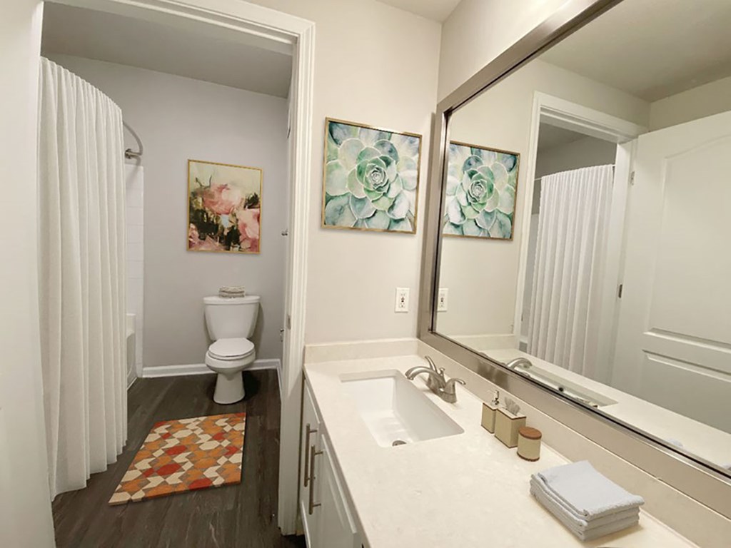 A bathroom with a toilet, sink, and two framed pictures on the wall.
