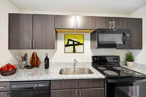 A modern kitchen with a black stove top oven and a black microwave above the sink.