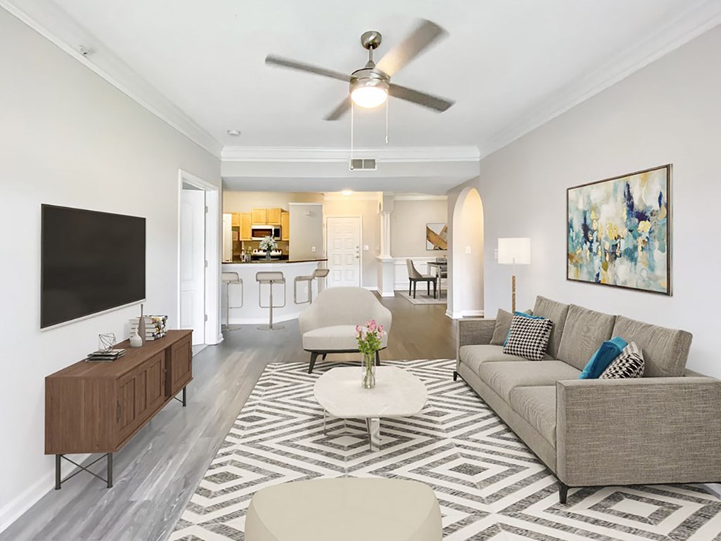 A living room with a grey couch and a black and white rug.
