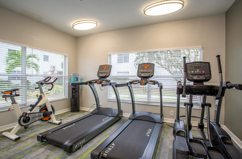The fitness area of the complex fitted with several fitness machines, carpet flooring, and high ceiling