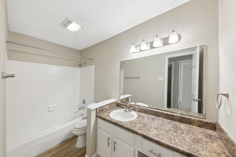 a bathroom with a sink and a toilet and a mirror