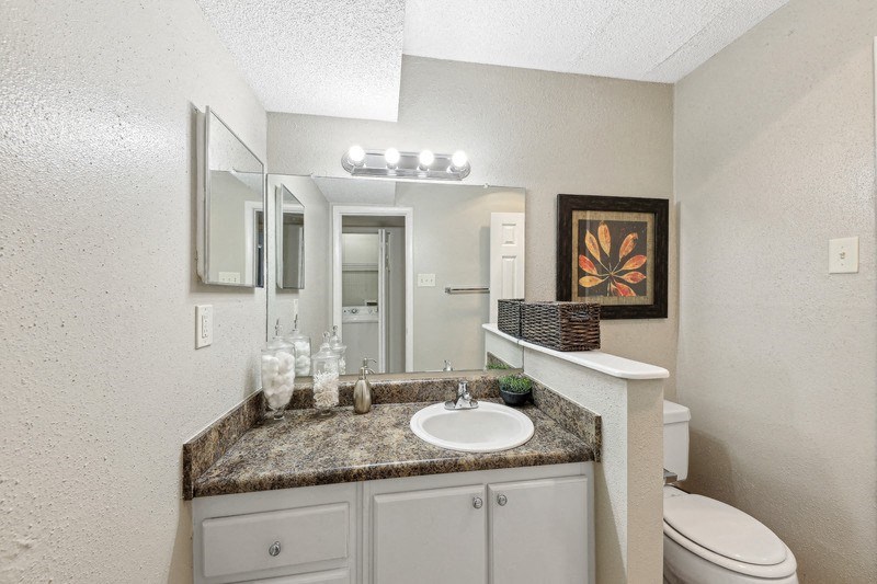 a bathroom with a sink and a toilet and a mirror