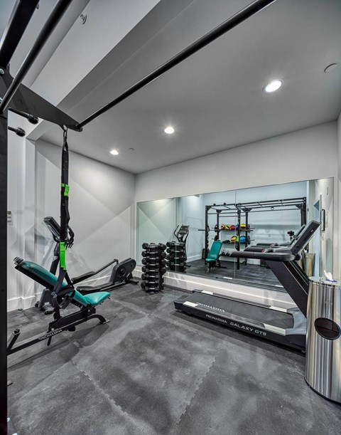 A gym with a treadmill, a rowing machine, and a TRX suspension trainer.