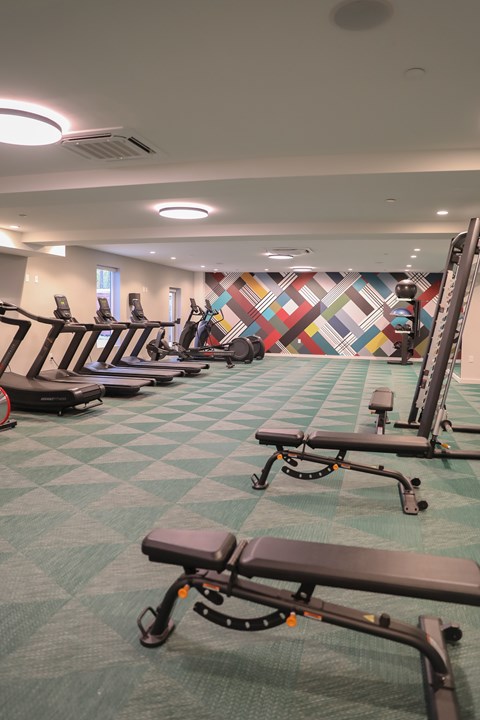 A gym with a variety of equipment including treadmills and rowing machines.