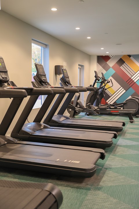 A row of treadmills are lined up in a gym.