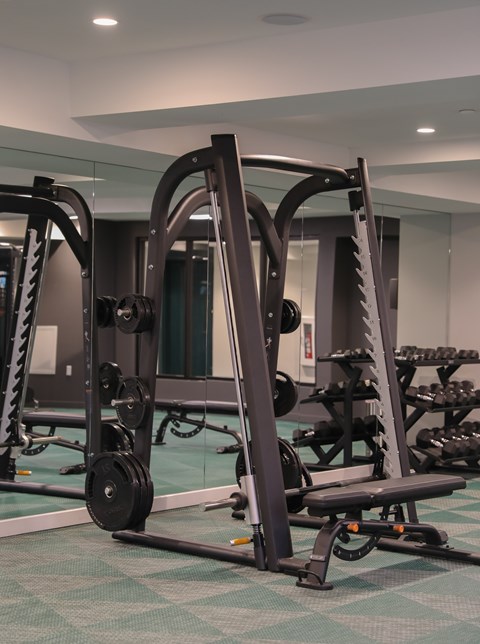 A gym with a weight bench and a squat rack.