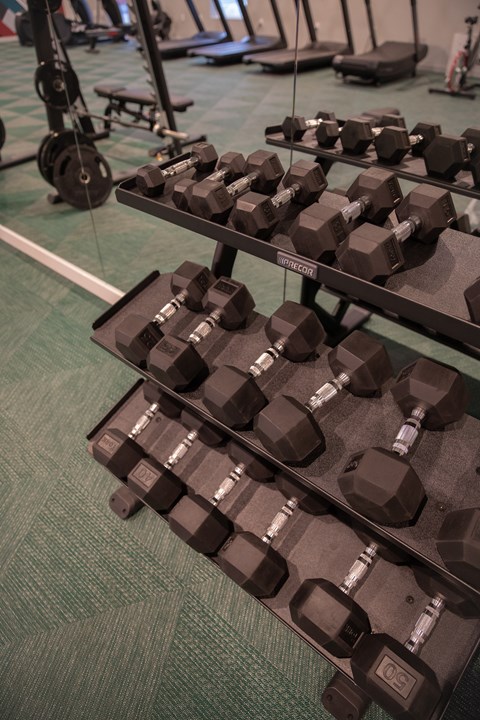 A set of dumbbells are arranged on a rack in a gym.