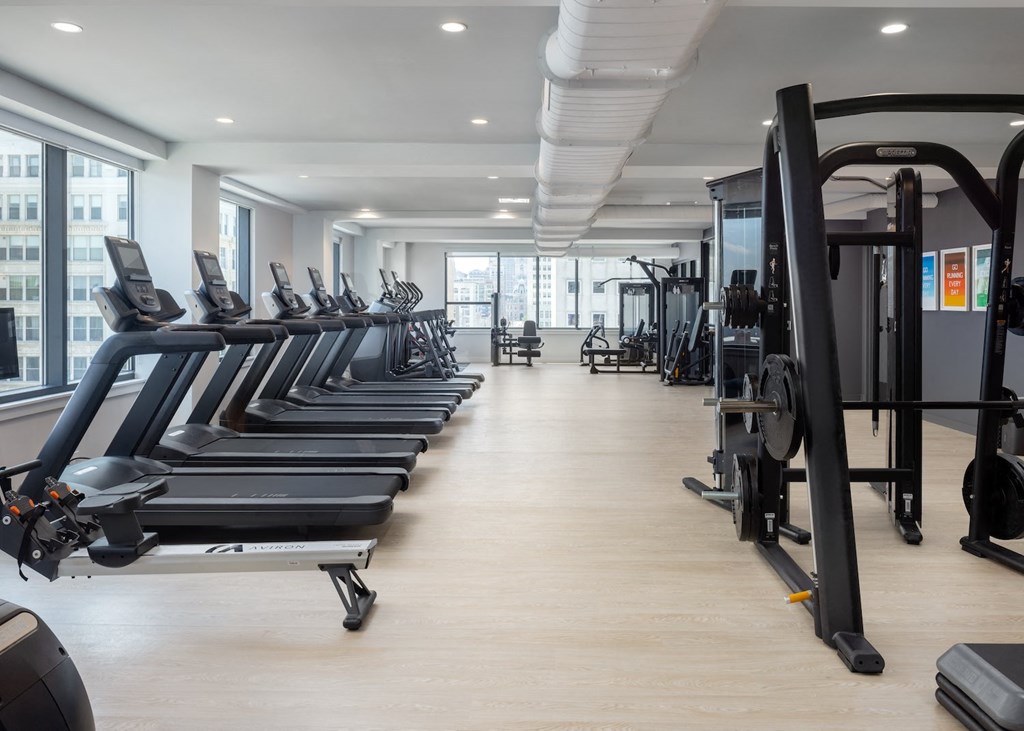 a row of treadmills in a fitness room with windows