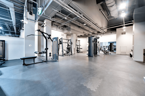A spacious gym with a variety of equipment.