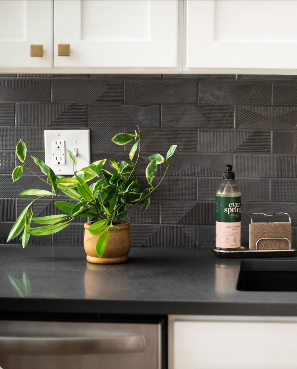a kitchen counter with a plant and a bottle of soap on it