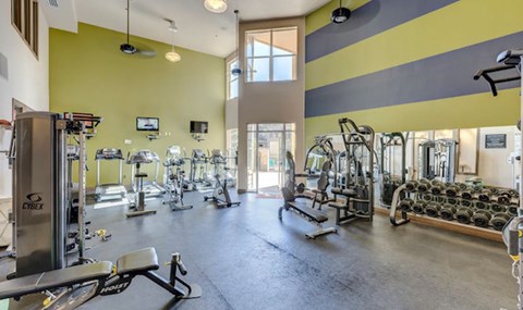 the fitness center has cardio machines and weights in the gym