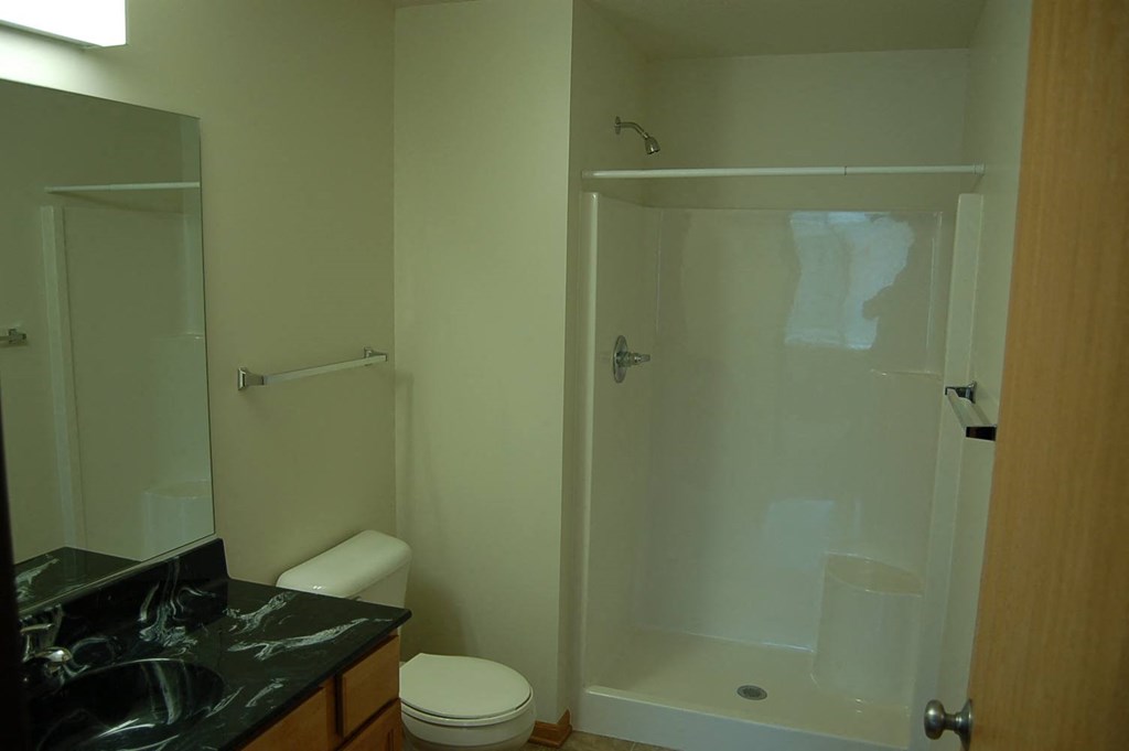 a bathroom with a shower toilet and sink