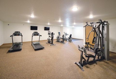 A gym with treadmills, elliptical machines, and weights.
