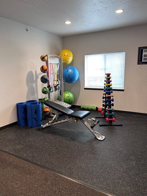 A gym room with a bench, weights, and exercise balls.