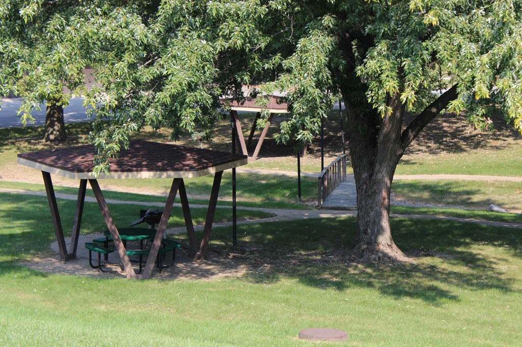 a picnic table under a tree in a park