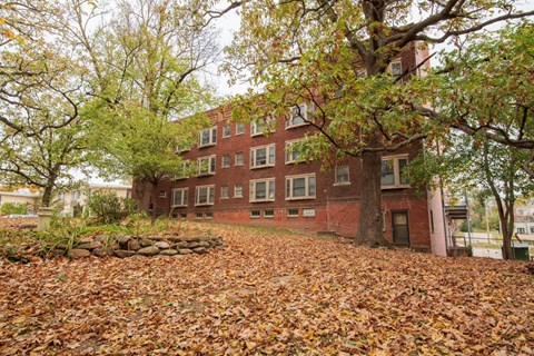 A large tree with yellow leaves in front of a red brick building.