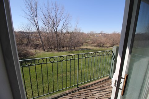 a view of the garden from the balcony