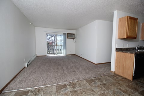 A room with a carpeted floor and a window with a view of trees outside.