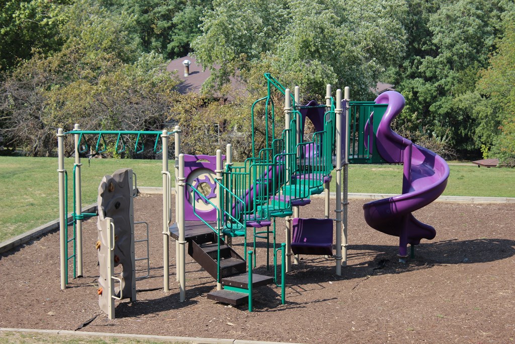 a playground with a purple and green slide