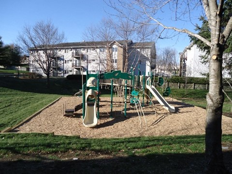A playground with a green slide and a white slide.