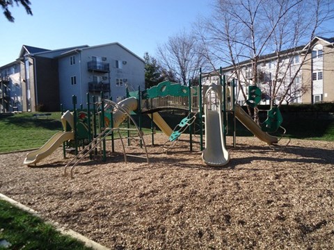 a playground with a slide and monkey bars