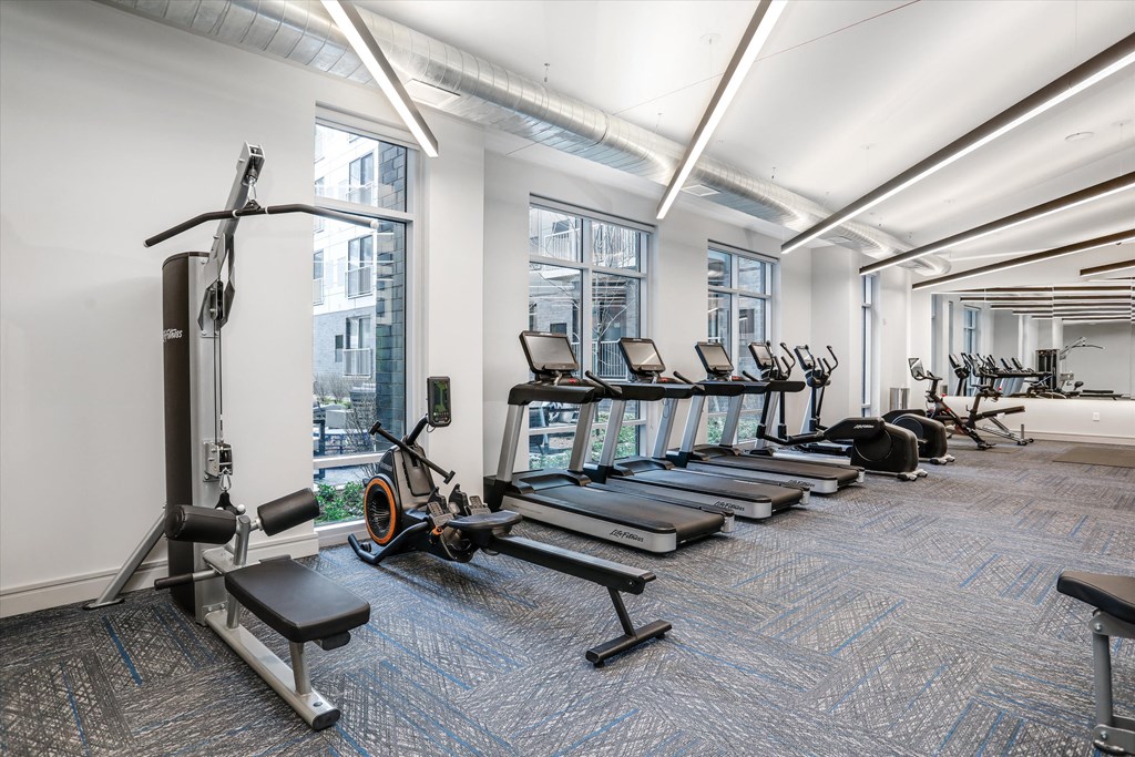 a row of treadmills and other exercise equipment in a gym with large windows at Beekman on Broadway, Ann Arbor, MI, 48105