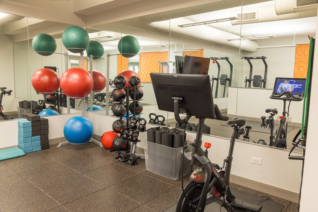 Gym at Elmhurst 255, Illinois, 60126