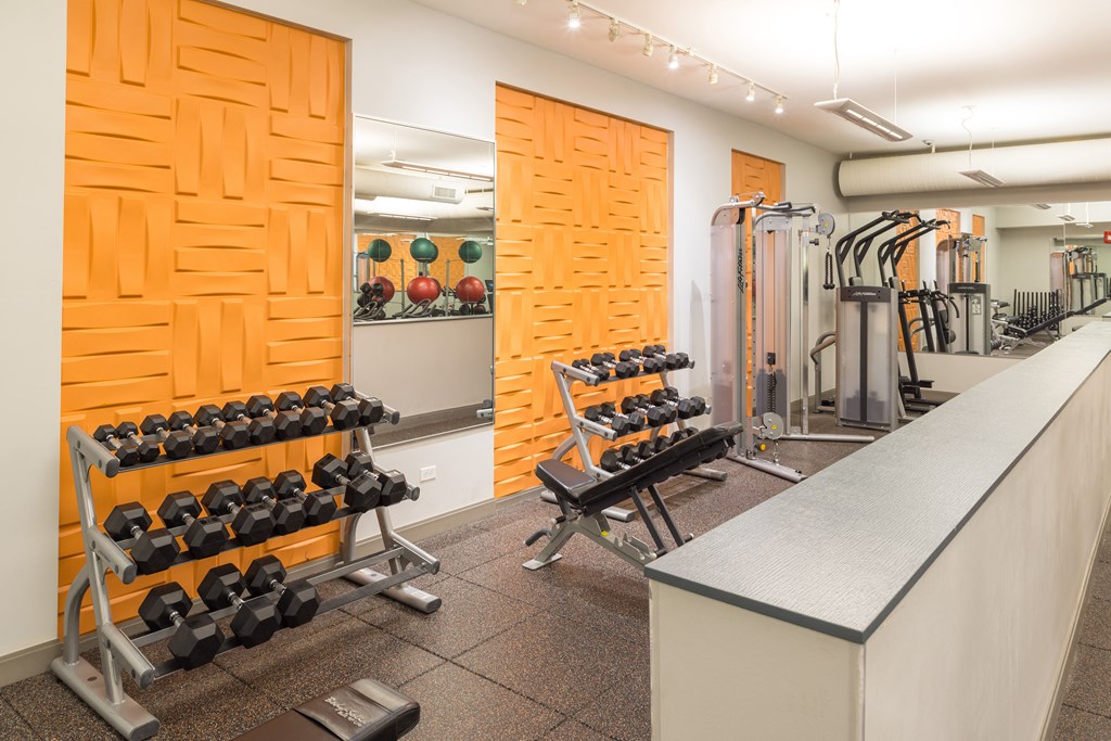 Gym at Elmhurst 255, Illinois, 60126
