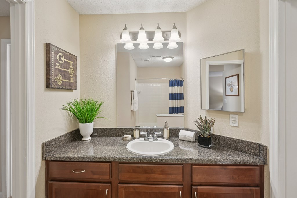 A bathroom with a sink, mirror, and a potted plant.