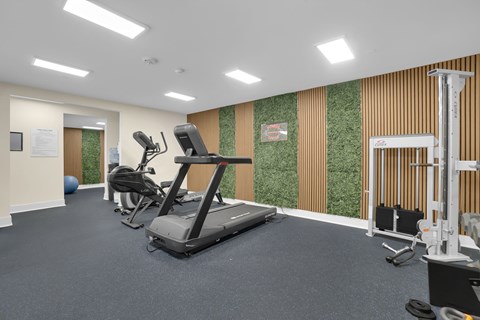 A gym with treadmills, weights, and exercise balls.